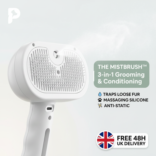 Pure White MistBrush